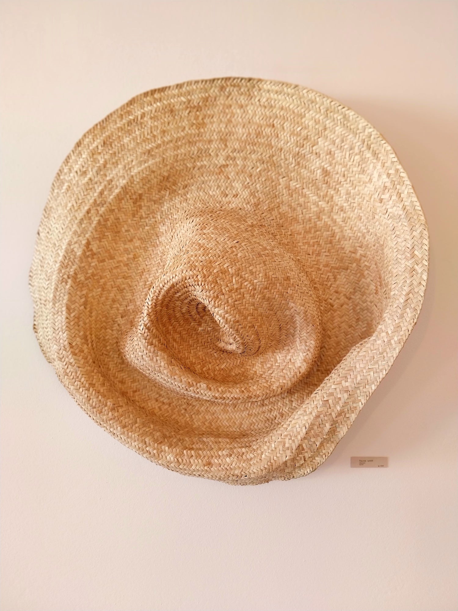 Wandskulptur PALMA V aus handgeflochtenen Palmwedeln, organisch geformt und schalenartig vertieft, ähnelt einem riesigen zerdrückten Strohhut, an einer hellen Wand mit einemn kleinen Galerieschildchen.