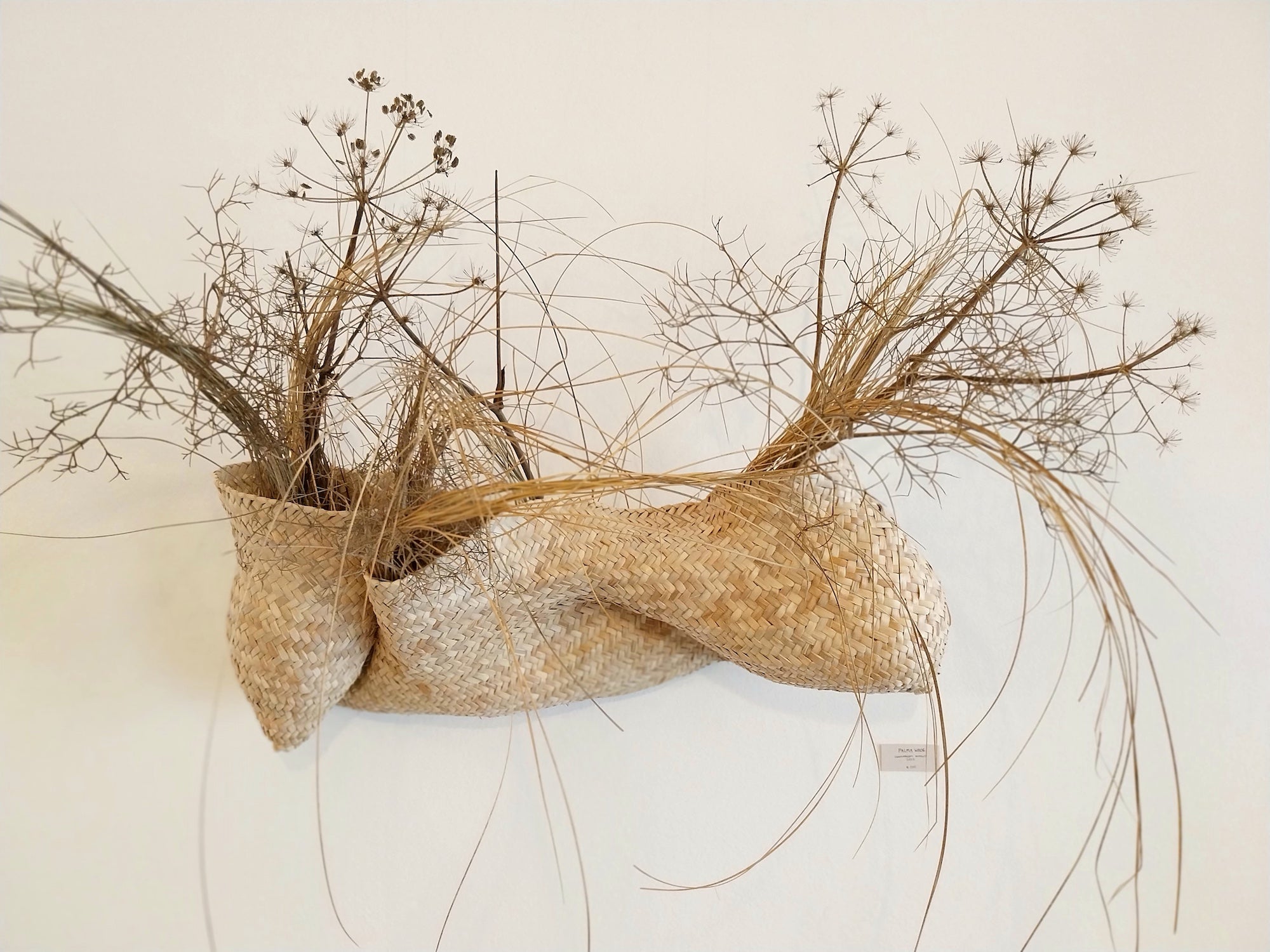 Wandskulptur PALMA VI von Ysaline Ophoff (atelier balancê): horizontales, handgeflochtenes Objekt in Form einer breiten Tasche aus getrockneten Palmblättern, die in drei  taschenartigen Module unterteilt ist und die an der Wand befestigt sind . Mit getrockneten Pflanzen bestückt. 