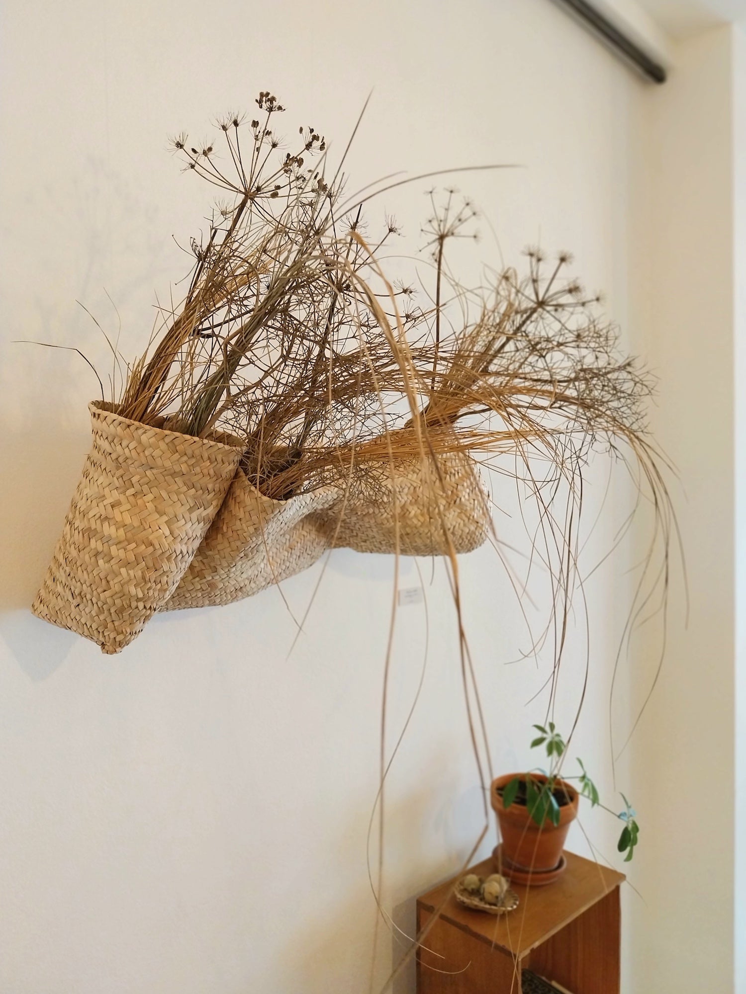 Wandskulptur PALMA VI von Ysaline Ophoff (atelier balancê): horizontales, handgeflochtenes Objekt in Form einer breiten Tasche aus getrockneten Palmblättern, die in drei  taschenartigen Module unterteilt ist und die an der Wand befestigt sind . Mit getrockneten Pflanzen bestückt. 